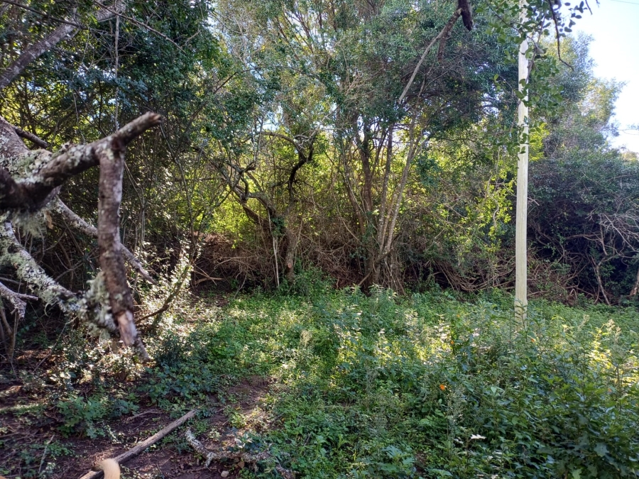 0 Bedroom Property for Sale in Bathurst Eastern Cape